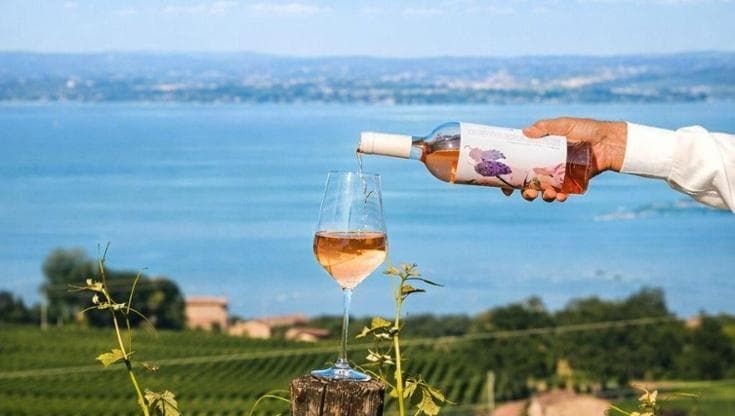 Ecco perché i vini rosati conquistano il mercato