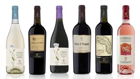 Il pioniere che iniziò a imbottigliare i vini del Salento, e l’epigono che resuscita la sua cantina