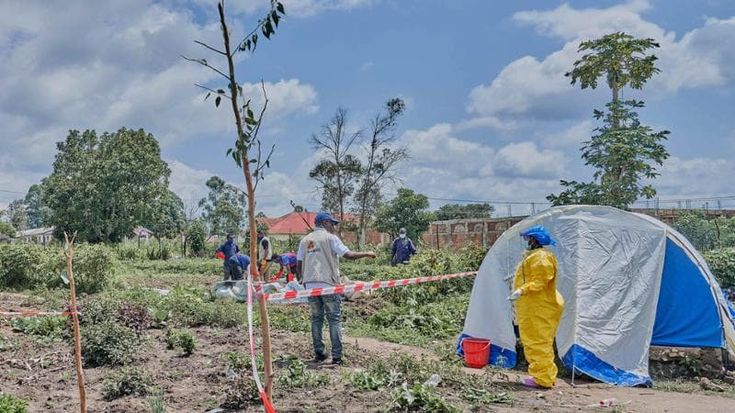 Epidemia di Ebola, domande e risposte: dal contagio tramite i fluidi corporei alla letalità al 32%