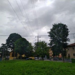 Parma, il Comune: "Terna taglierà solo tre alberi su 60"