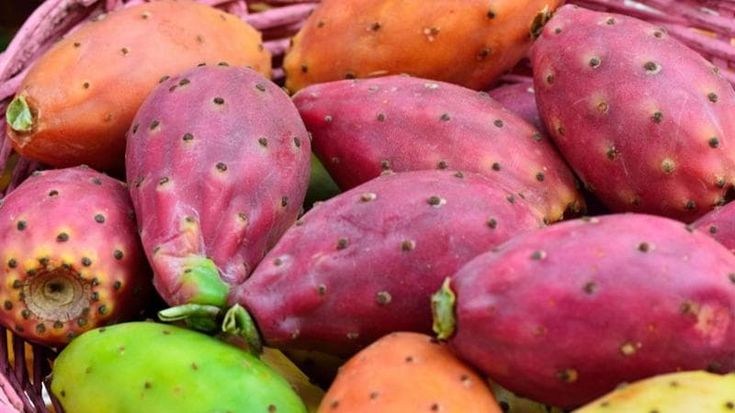 Ficodindia dell'Etna Dop: nasce un consorzio per la tutela e la promozione