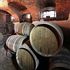 Vino: Coldiretti, la vendemmia 2014 rischia di essere la più scarsa dal 1950