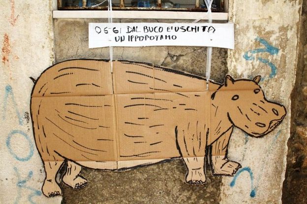 Trani, l'ironia dei residenti: uno zoo nelle buche stradali