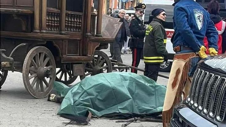 Festa di Sant’Antonio Abate, cavallo scivola e muore durante la processione: attivisti infuriati