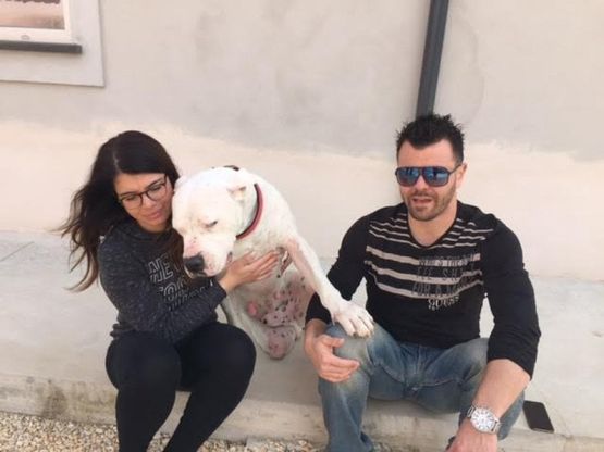 Sherman, il cane conteso tra Italia e Germania
