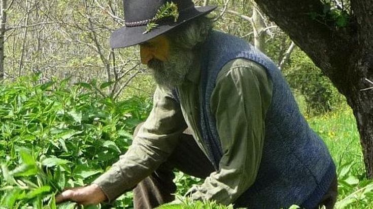 “Sono l’alchimista delle erbe: lavoro, mangio e mi curo solo con quello che raccolgo”