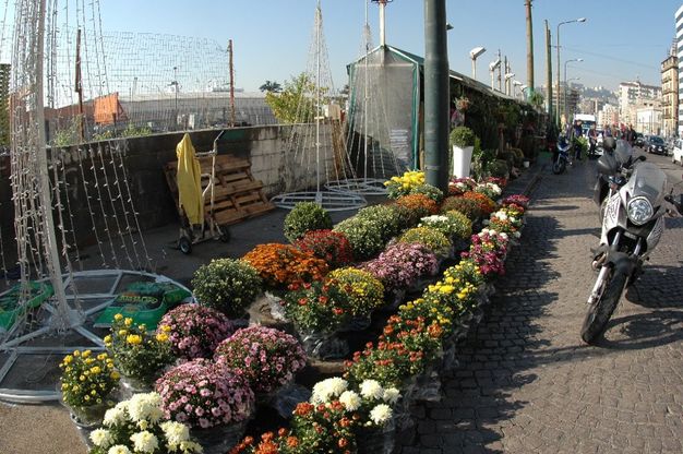 Napoli, sequestrato e smantellato il fioraio di via Vespucci
