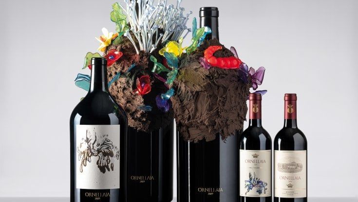 La nuova Vendemmia d'artista della tenuta Ornellaia: pregiate etichette all'asta, il ricavato in beneficenza