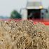 L'Irap agricola sarà eliminata con un anno di anticipo