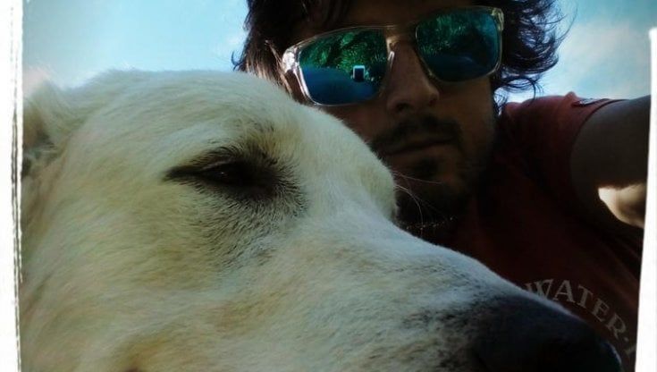 La storia del geometra pastore: "Il mio primo gregge sbranato dai lupi: ho ricominciato con Molly"