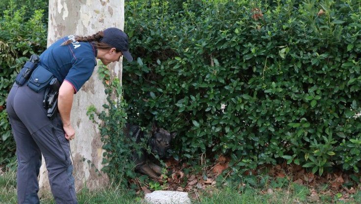 Cascine sotto scorta: 12 pattuglie dei vigili ogni giorno al parco