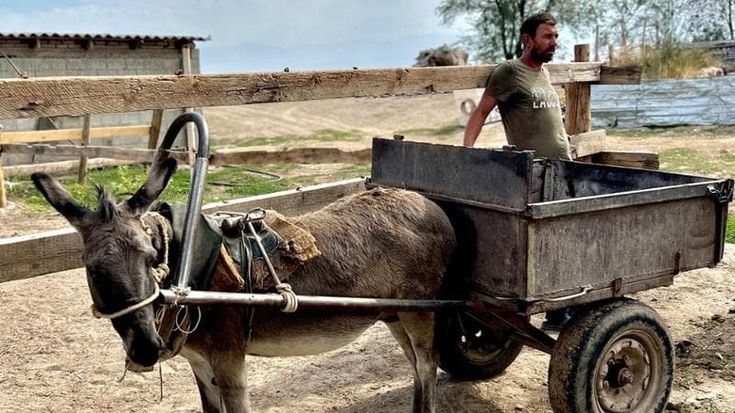 La Sardegna cerca pastori e li trova in Kirghizistan