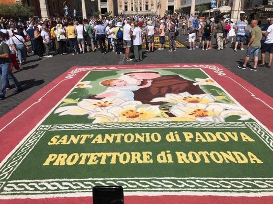 Potenza, Tramutola e Rotonda all'infiorata storica di Roma
