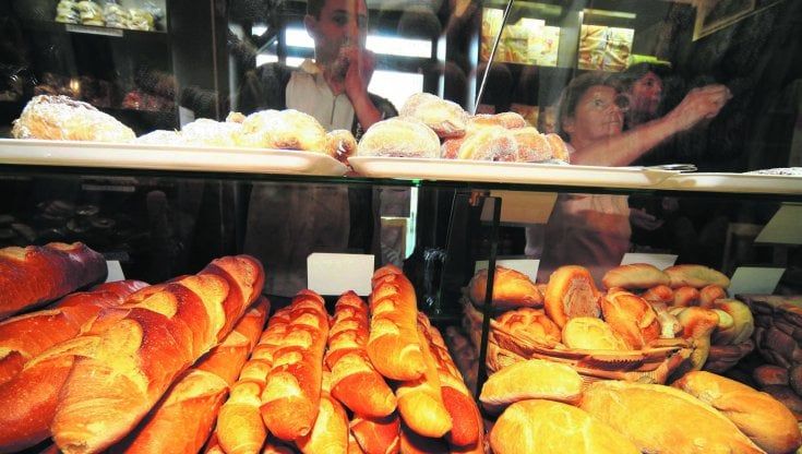 Effetto guerra in Ucraina, è a rischio crollo la filiera agroalimentare campana
