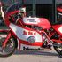 Bimota, ormai è mania per le classiche