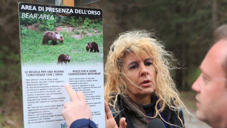 Gli orsi e i boschi che ignoriamo