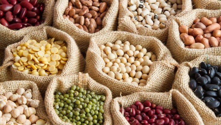 Cresce il consumo di legumi nel nostro Paese: la metà degli italiani li mangia almeno una volta alla settimana