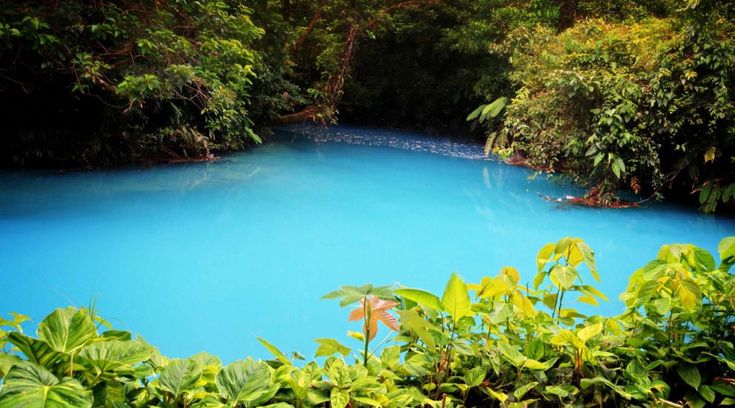 Costa Rica, miracolo della natura: il fiume si tinge d'azzurro