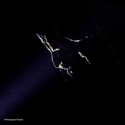 Il volto di Dante Aligheri compare nelle Grotte di Castellana: è una concrezione formata nella roccia