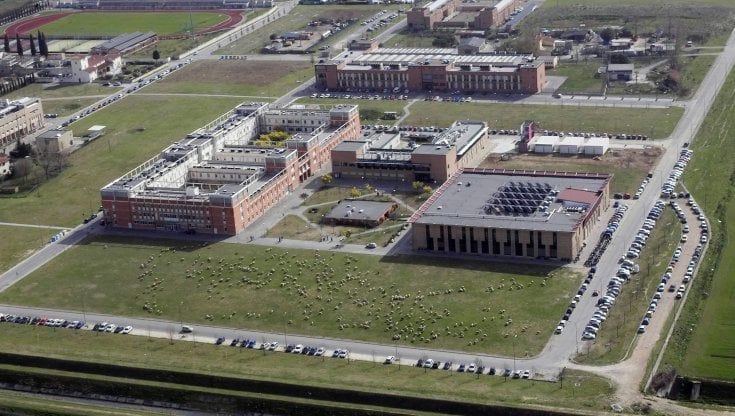 Campus di Sesto, ritardi e corse saltate: gli studenti protestano per il servizio bus