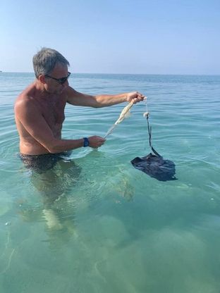 Ascea, il ministro Costa libera un pesce trigone intrappolato in una busta di plastica