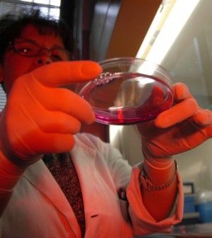 I record del business della salute:dieci farmaci guadagnano 55 miliardi