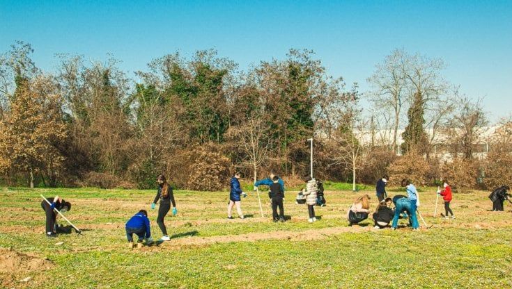 Il rispetto della natura si studia a scuola: tremila studenti coinvolti in WeTree
