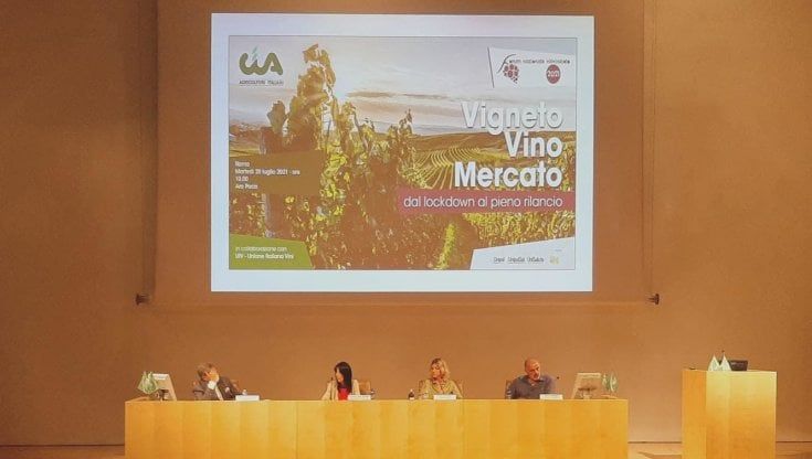 Vino: nel 2021 rimbalzo del 9% per il made in Italy 