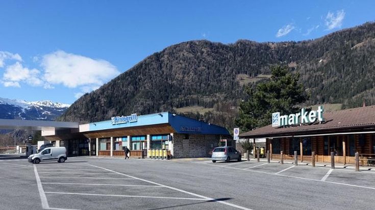 Trentino, sette cani morti soffocati nel bagagliaio: diretti in Lapponia per una battuta di caccia