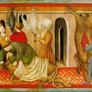 "Non fate soffrire gli animali uccisi secondo le regole halal e kosher"