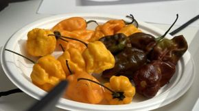 Il peperoncino oltre il piccante: cinque miti da sfatare spiegati dall'esperto