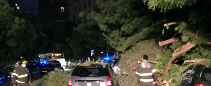 Roma, maltempo, pioggia e vento forte . Alberi caduti e disagi in tutta la città