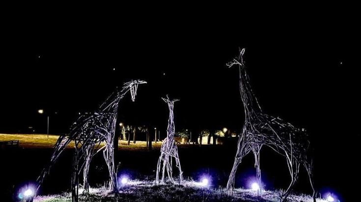 Le giraffe del Meyer si accendono di notte: completata l’illuminazione delle sculture nel parco