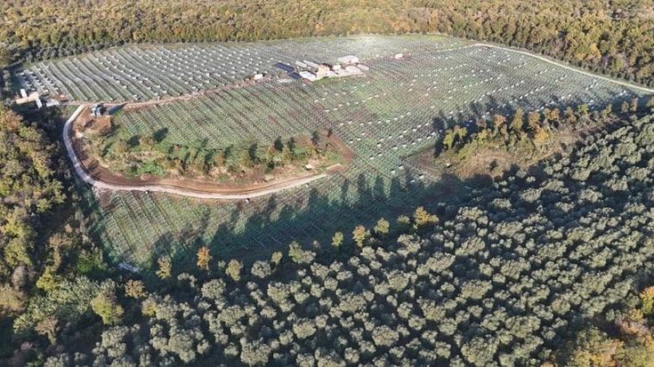 Agrivoltaico alla prova del mercato: “Conta il modello industriale, non l’incentivo”