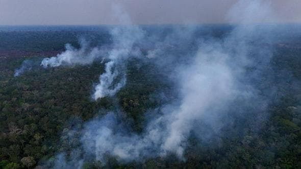 Un “super” El Niño potrebbe trasformare l’Amazzonia. La foresta pluviale più grande del mondo è destinata a scomparire?