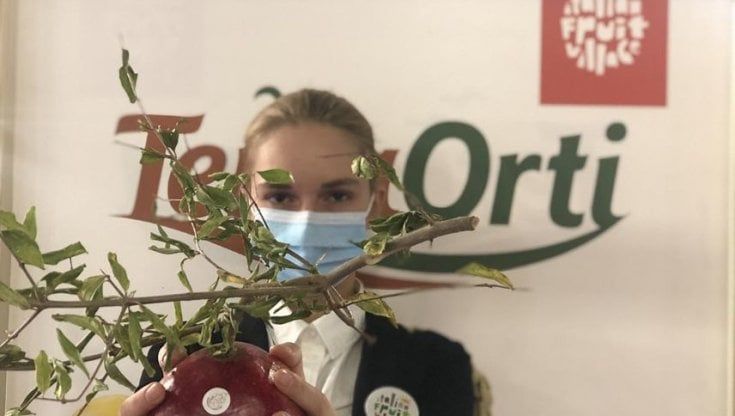 Agricoltura di qualità, il "Granato di Paestum" conquista TuttoFood 2021