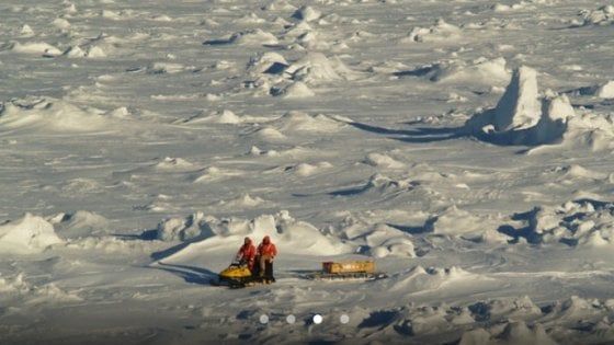 Uno scudo di ghiaccio marino protegge l'Antartide