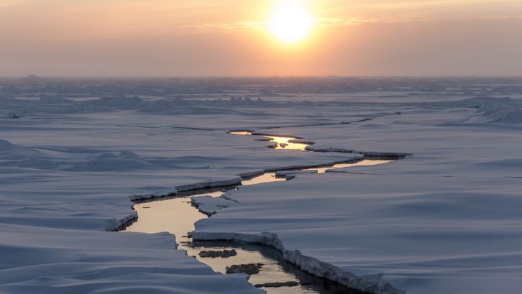 La previsione degli scienziati: in 15 anni nel Mar Glaciale Artico non ci sarà ghiaccio d'estate