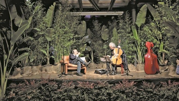 Concerto per piante e violoncello