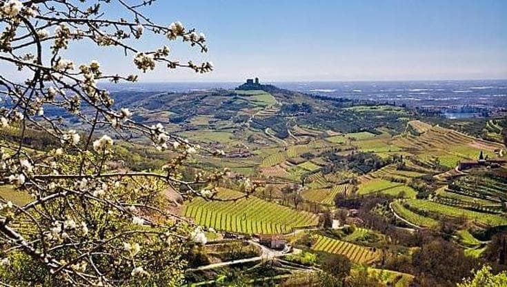 Il futuro della Valpolicella in sei vini, dall’Amarone al Recioto