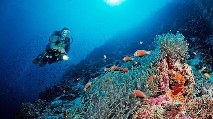 L’atollo di Vaavu, il paradiso delle Maldive in cui sono morti i sub italiani