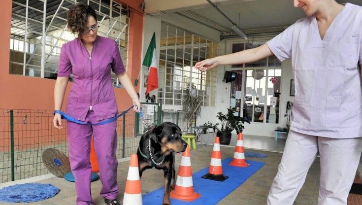 “Io, ipovedente, fuori dal concorso perché ho un lavoro precario”