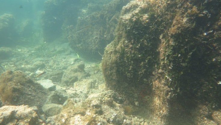 Archeologia, nel mare di Baia anche resti di piscine in una villa