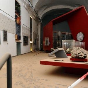 Torino, ancora un rinvio per il Museo di Scienze naturali, una sezione apre alla fine del prossimo anno