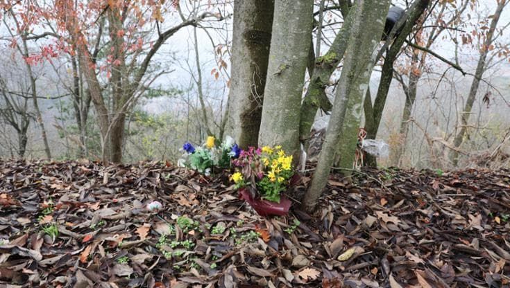 Fiori, urne sugli alberi: il cimitero spontaneo con le ceneri dei cari in un campo vista San Luca