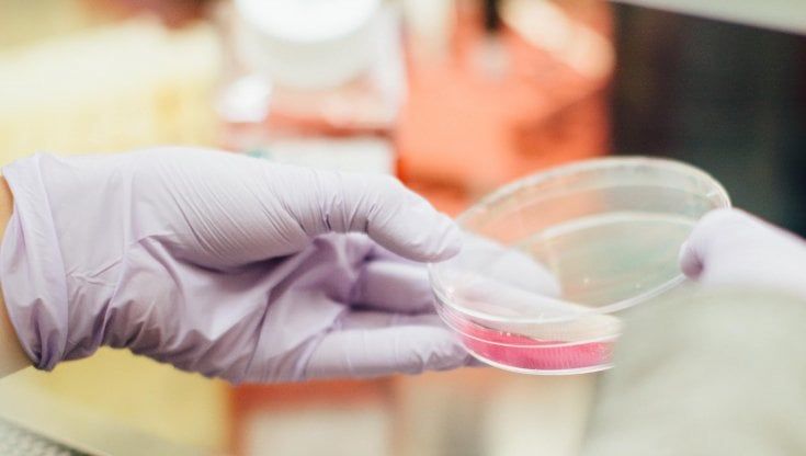 Magnesio, così aiuta il sistema immunitario contro il cancro e le infezioni