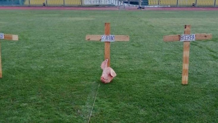 Serie C, contestazione shock a Livorno: tre croci e una testa di maiale sul campo del 'Picchi'