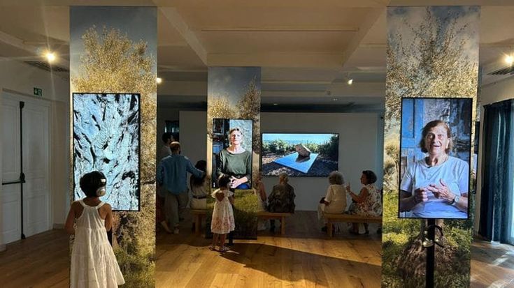 Capri, arte e antropologia. “Così abbiamo recuperato la storia degli ulivi centenari”