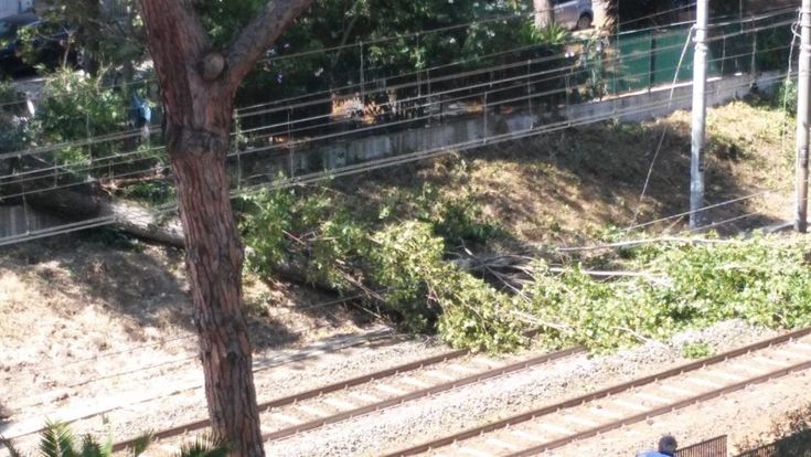 Ostia, albero sui binari tra Lido Centro e Colombo. Circolazione interrotta e poi ripristinata