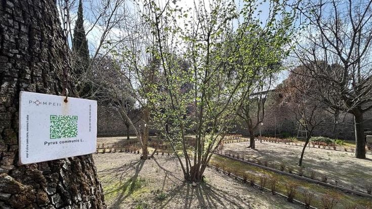 A Pompei apre la Casa dell'Orto Botanico: ragazzi austitici guide tra i giardini antichi